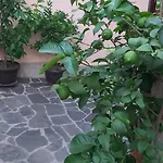 в селска местност 別荘 *