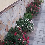 в селска местност 別荘 *
