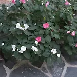 в селска местност