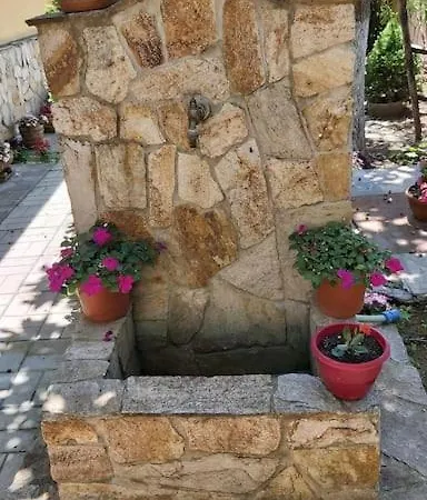 в селска местност Petrič