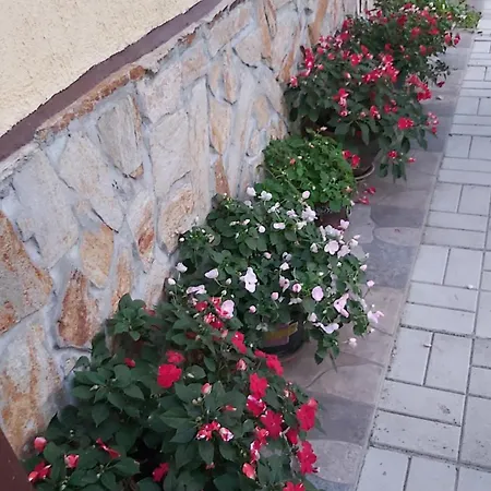 в селска местност Prázdninový dům *