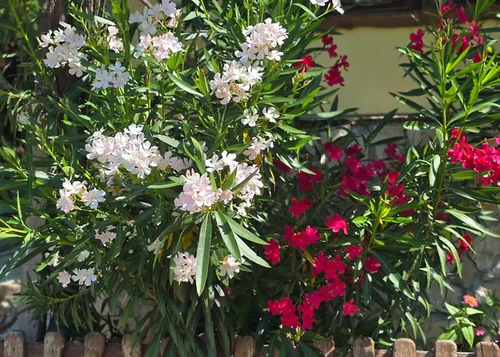 в селска местност Semesterbostad